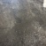 发酵复合鸡粪290元每吨含运费，全国发货