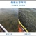 清水养殖小龙虾，肉质鲜美饱满。地板干净没有淤泥。