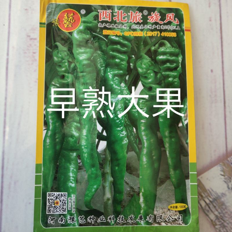 西北旅旋风螺丝椒种子抗病皮薄肉脆抗逆性强香辣高产坐果力强