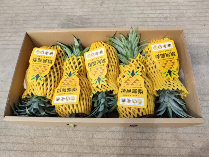 金砖凤梨纯甜无丝，农家肥种植，果肉软嫩，全肉化渣！！！真