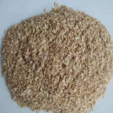优质中大片麸皮价格便宜
