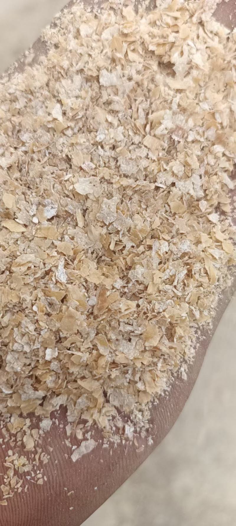 优质中大片麸皮价格便宜
