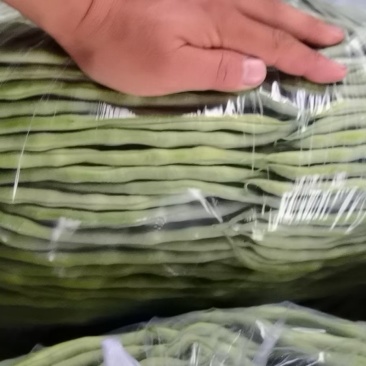豆王