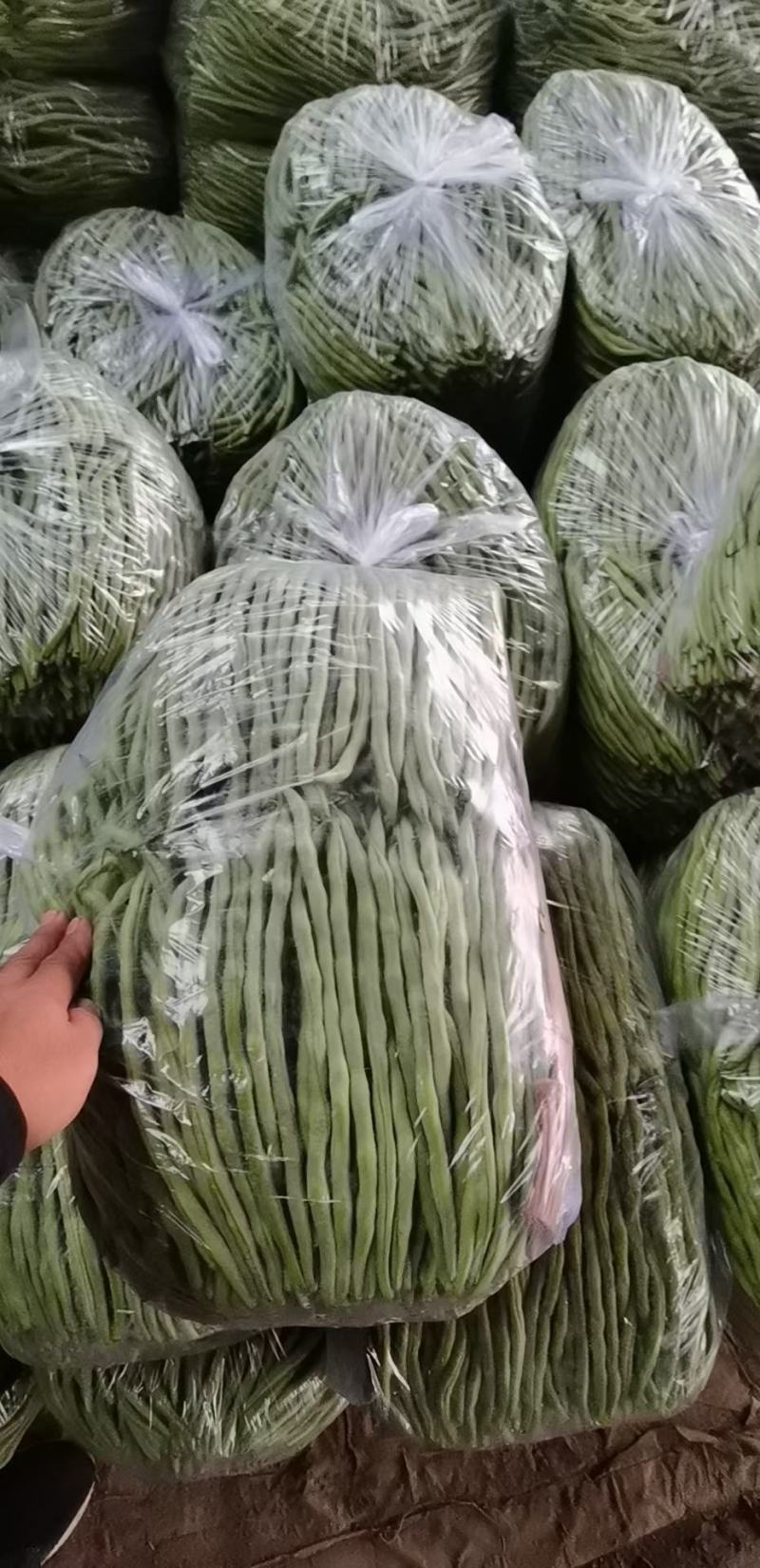 豆王