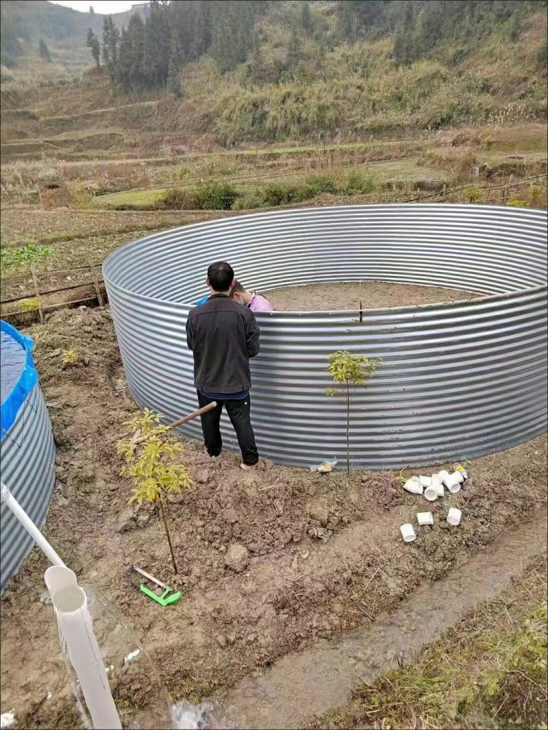 高密度刀刮布养殖池水产养殖桶育苗专用养殖桶厂家直销