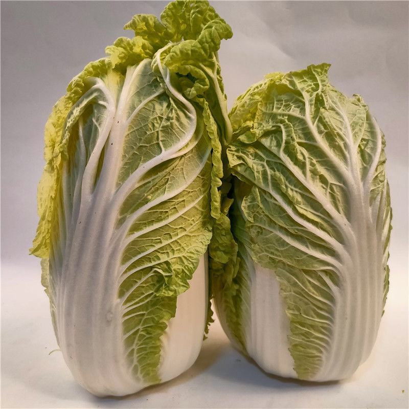 【实力商家】甘肃大娃娃菜，大量上市货源充足稳定，诚信经营