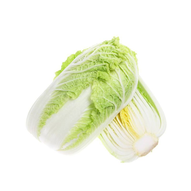【实力商家】甘肃大娃娃菜，大量上市货源充足稳定，诚信经营