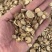 全检广豆根符合2020年药典北豆根山豆根精选饮片豆根片