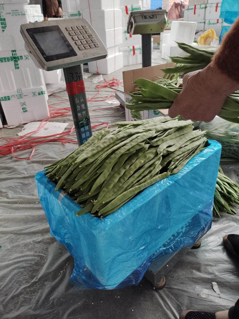 【推荐】精品芸豆大量上市中产地直发可供商超批发市场量大从优