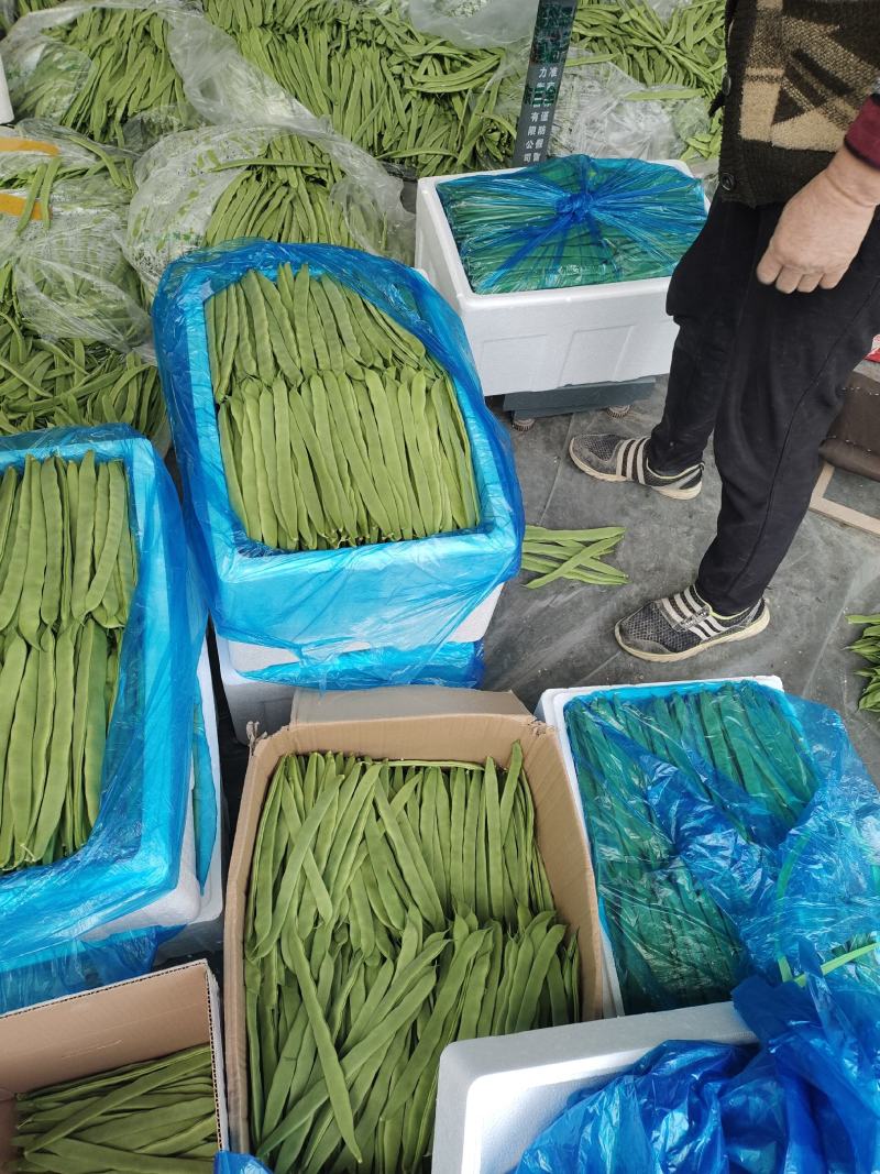 【推荐】精品芸豆大量上市中产地直发可供商超批发市场量大从优