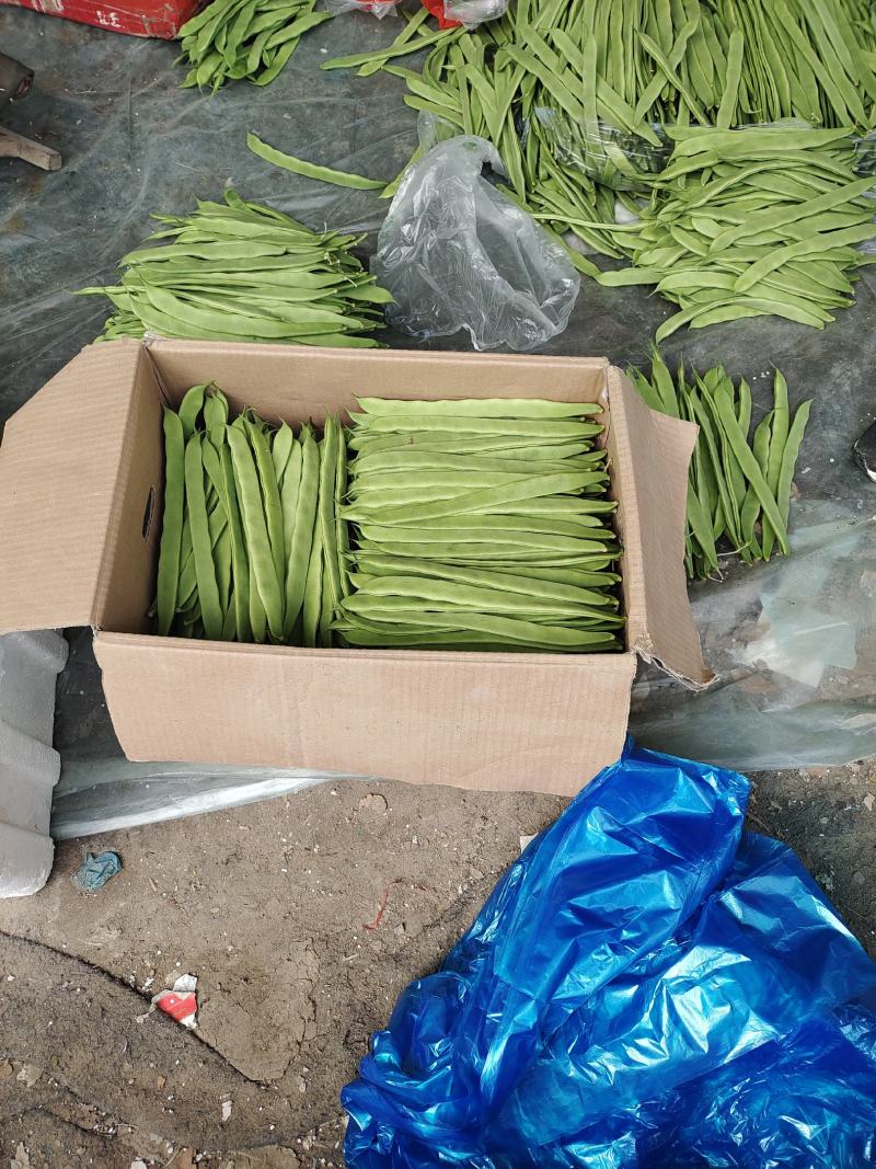 【推荐】精品芸豆大量上市中产地直发可供商超批发市场量大从优