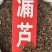 漏芦中药材符合2020药典狼头花野兰鬼油麻当季新货