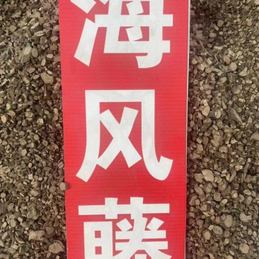 海风藤符合2020年药典风沙藤大风藤海风藤粉代客磨粉
