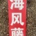 海风藤符合2020年药典风沙藤大风藤海风藤粉代客磨粉
