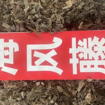 海风藤野生中药材爬岩香岩胡椒满坑香海风藤粉代客磨粉
