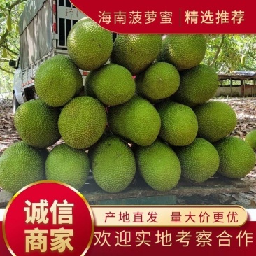 菠萝蜜精品果出肉高/饱满多肉！自助下单(坏果包赔)