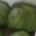 包菜甘蓝