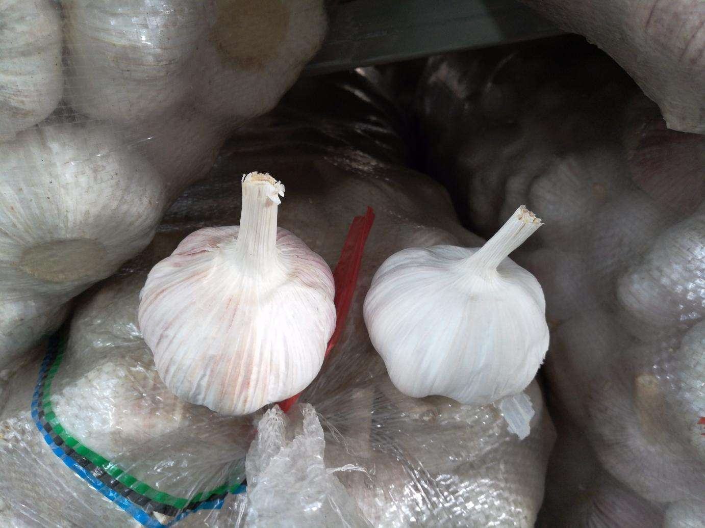 大蒜泡雄黄成品展示