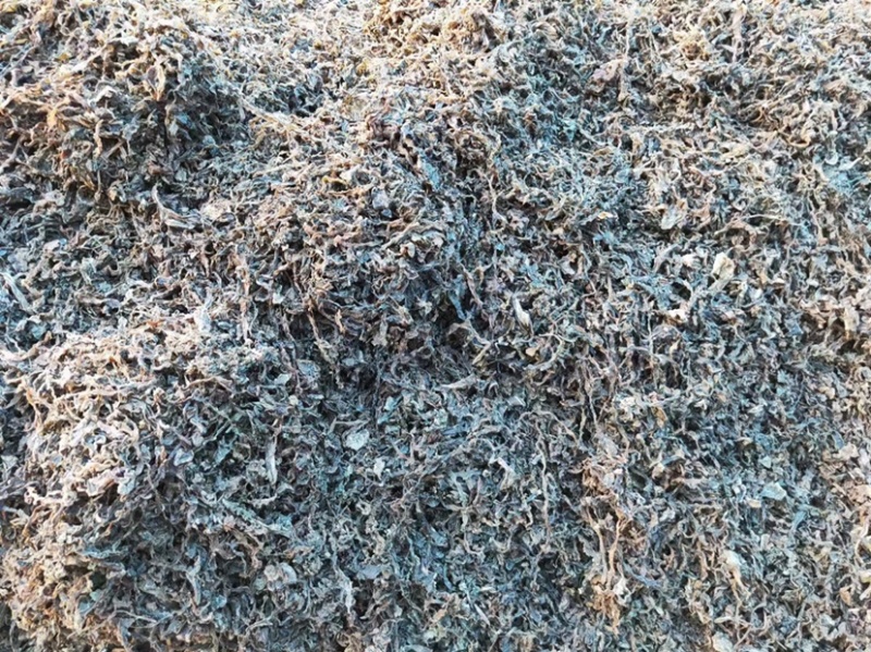 梅干菜