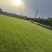 混播草坪价格成都混播草坪批发混播草坪草坪基地