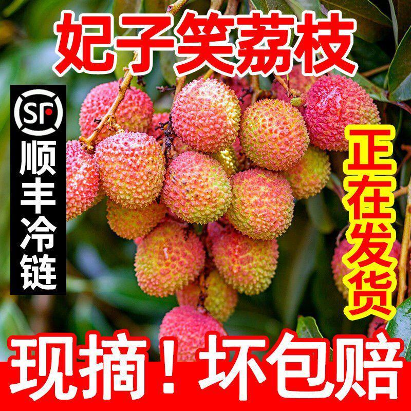 海南妃子笑荔枝当季热销，产地直供，接一件代发/电商/微商