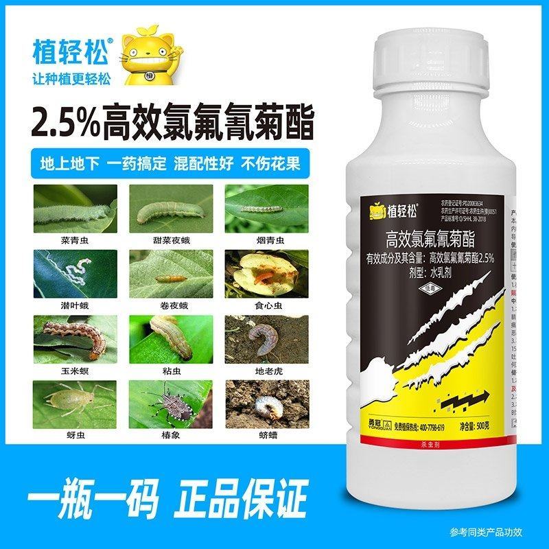 高效氯氟氰菊酯功夫菊脂杀虫剂菜青虫斑潜蝇食心虫玉米螟椿象