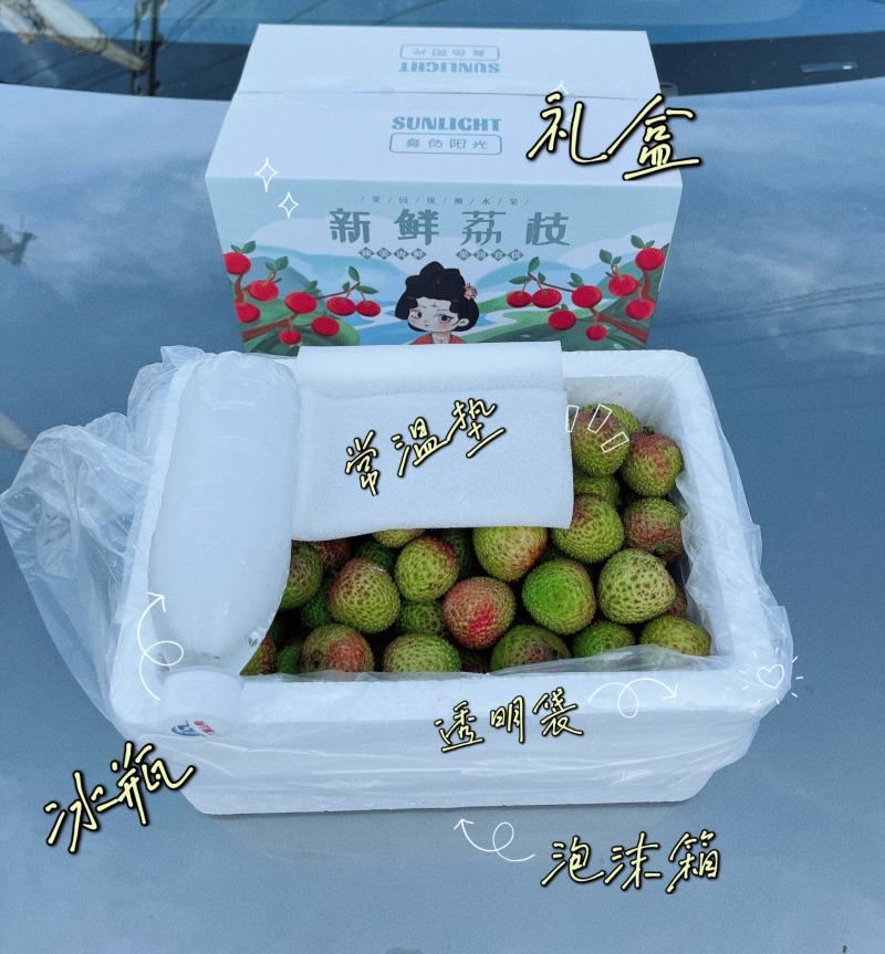 海南妃子笑荔枝当季热销，产地直供，接一件代发/电商/微商