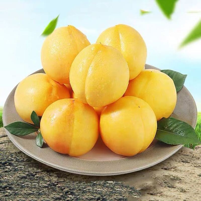黄金桃大量上市，价格优惠，品质保证，量大从优，欢迎合作