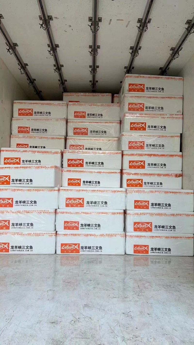 青海民泽冰鲜三文鱼，品质好，鲜货发货。