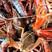 清水精养小龙虾，肉质鲜嫩，底板干净，无淤泥！