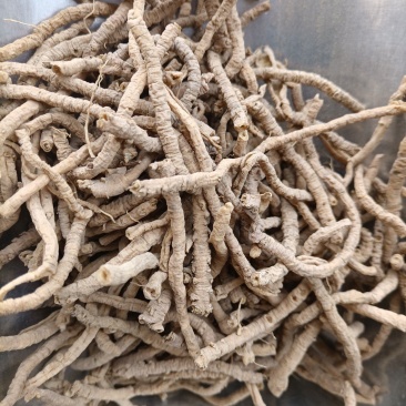 远志中药材新货精选野生远志抽芯天然无硫去芯空芯远志肉