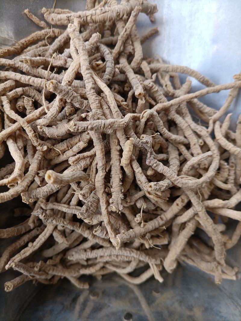 远志中药材新货精选野生远志抽芯天然无硫去芯空芯远志肉