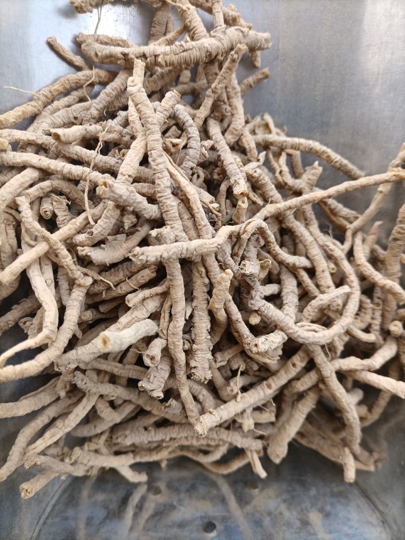 远志中药材新货精选野生远志抽芯天然无硫去芯空芯远志肉