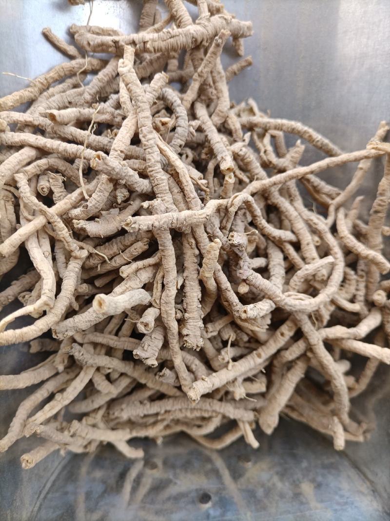 远志中药材新货精选野生远志抽芯天然无硫去芯空芯远志肉
