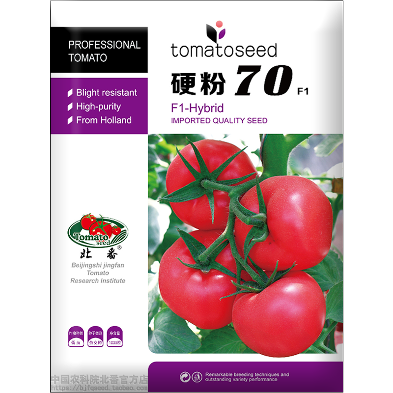 粉果西红柿籽早熟【硬粉70】抗TY抗线虫越夏大果型