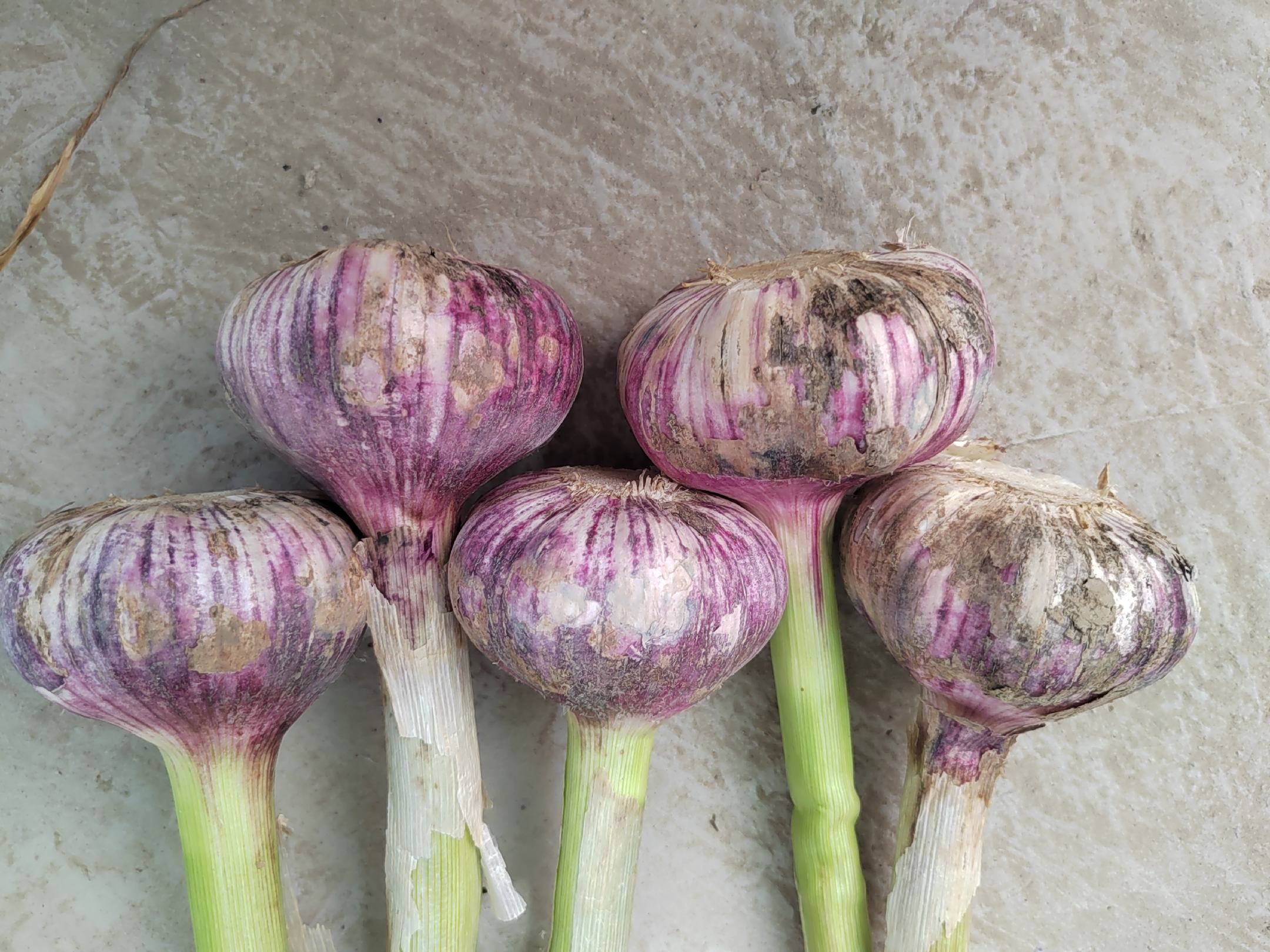 红葱头清洗与切片过程