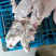 4-7精修大槽头