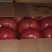 精品西红柿