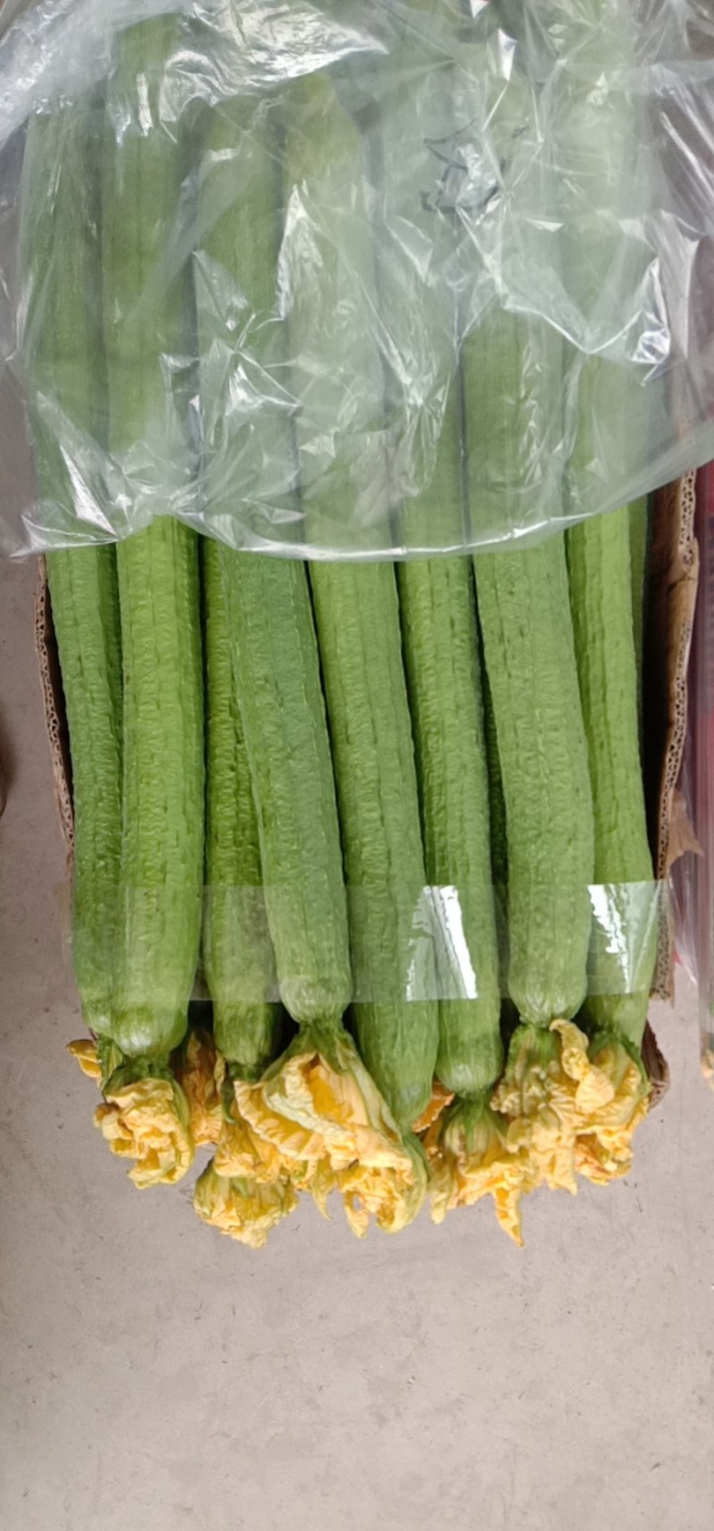 丝瓜