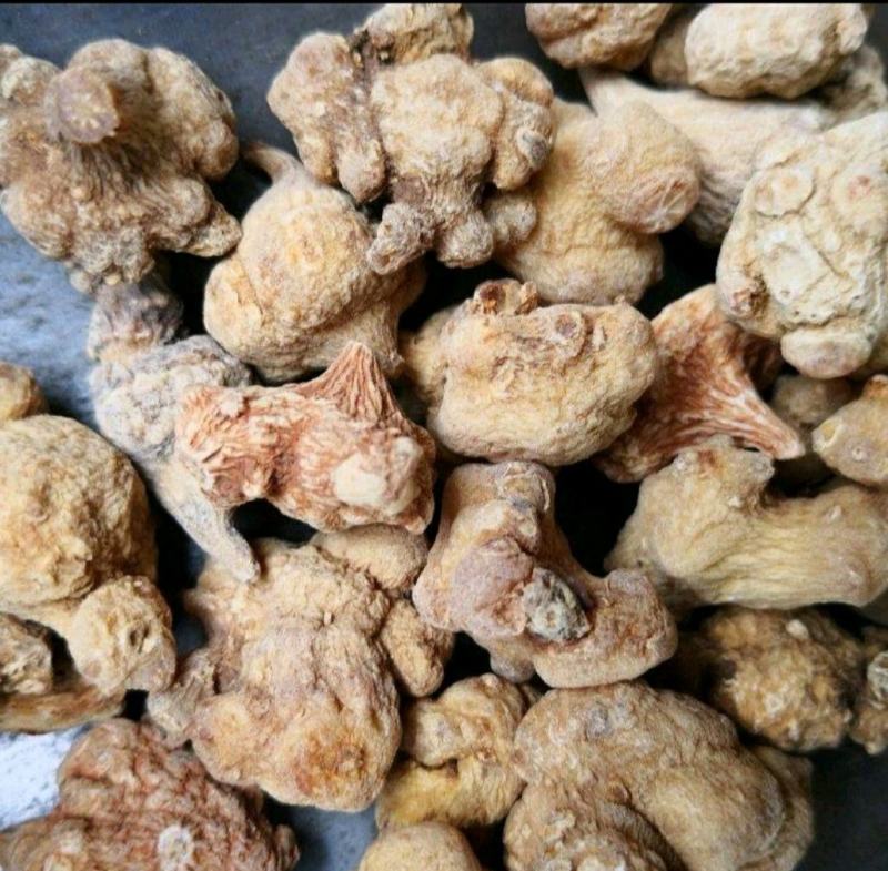 珠子参批发零售均可量大从优常年经营各种中药材