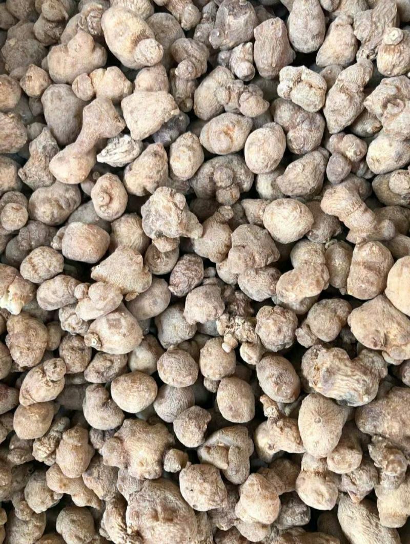 珠子参批发零售均可量大从优常年经营各种中药材
