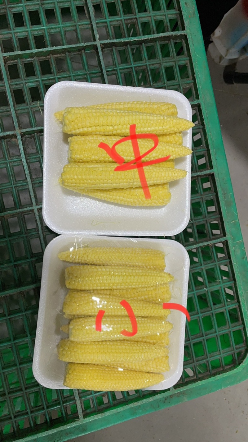 靓仔