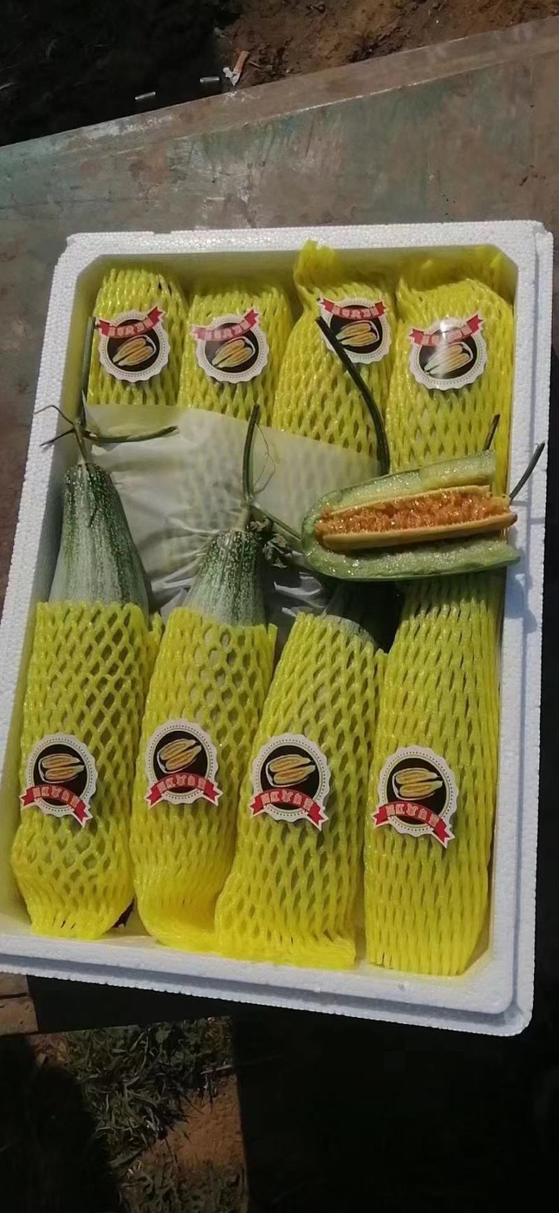 【精选】网文小蜜25.羊角密，博洋甜瓜，玉姑供社区团购，