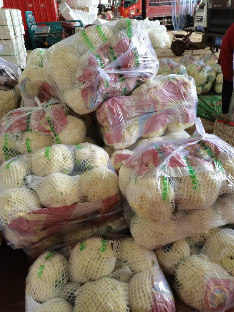 批发什么好卖一点呢