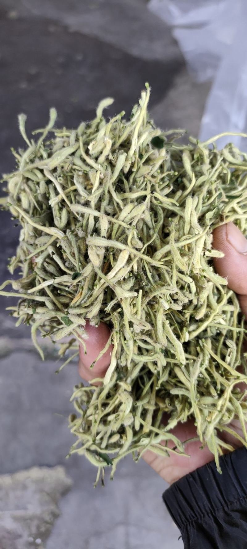 巨鹿特产中药材，金跟花，。银花茶。