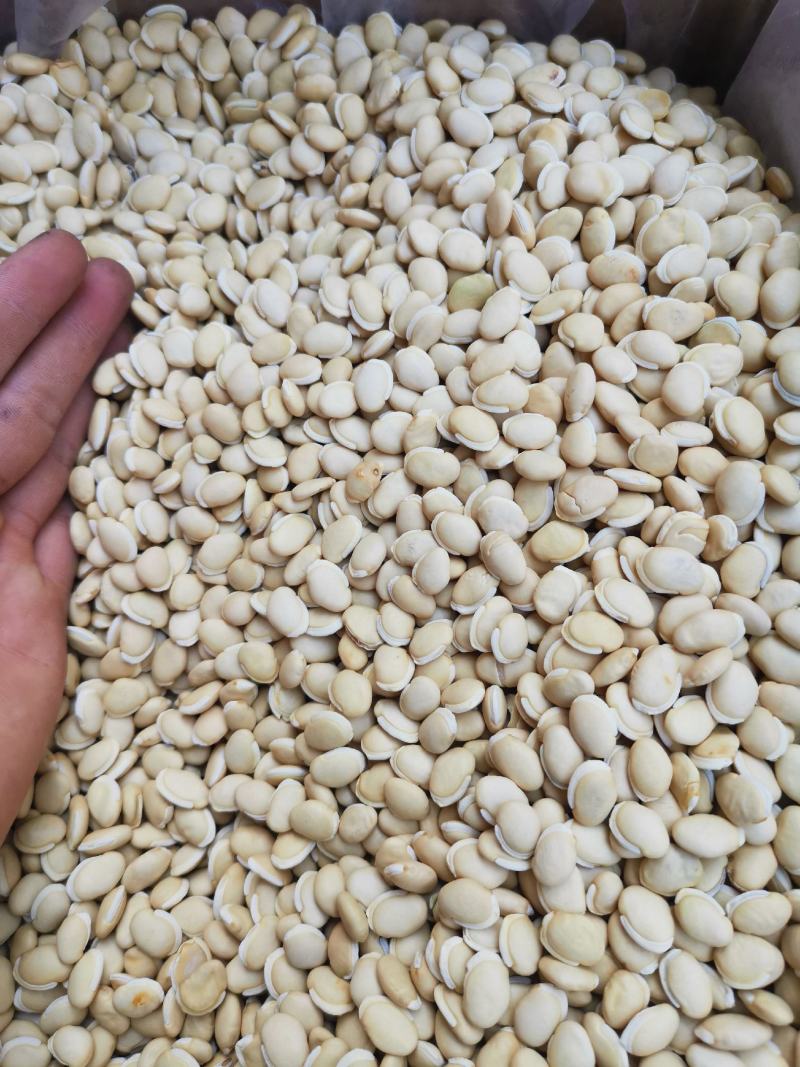 白扁豆《精选新货》袪湿豆（饱满圆润）产地直发