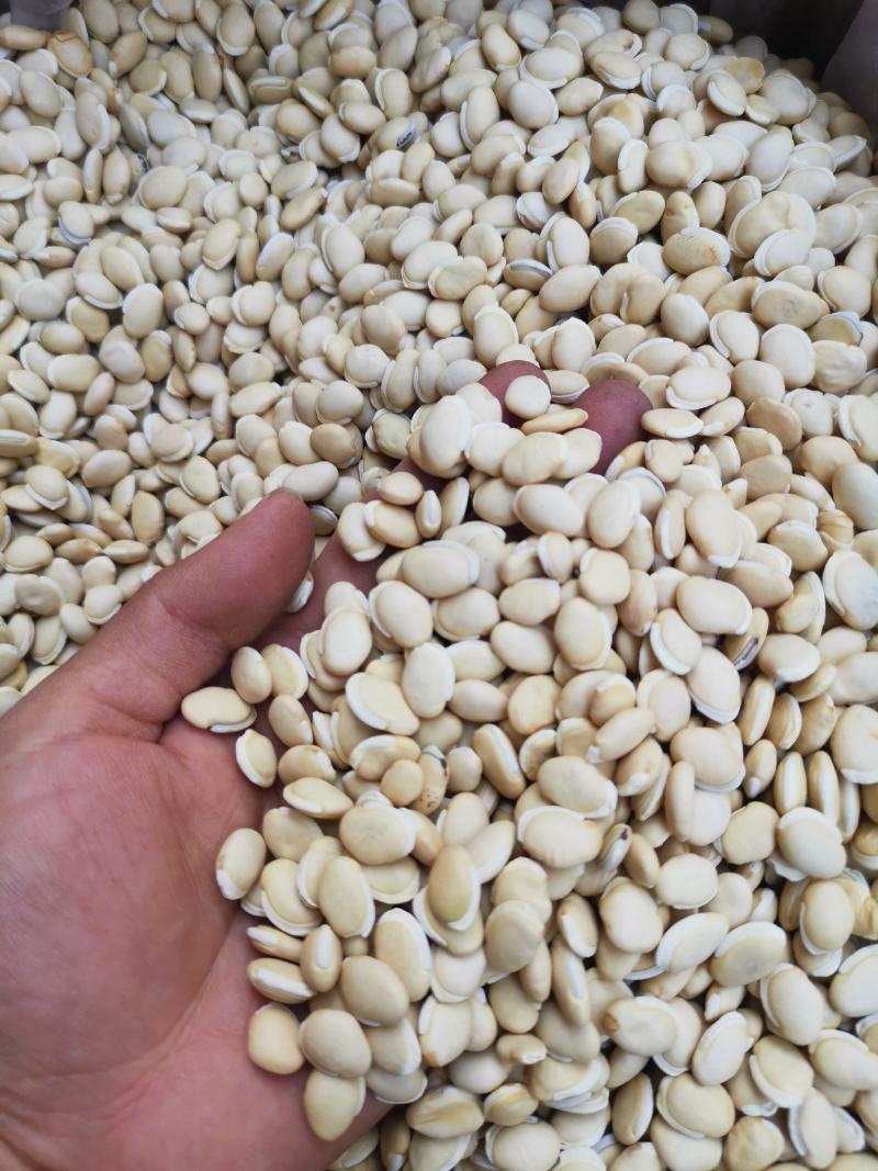 白扁豆《精选新货》袪湿豆（饱满圆润）产地直发
