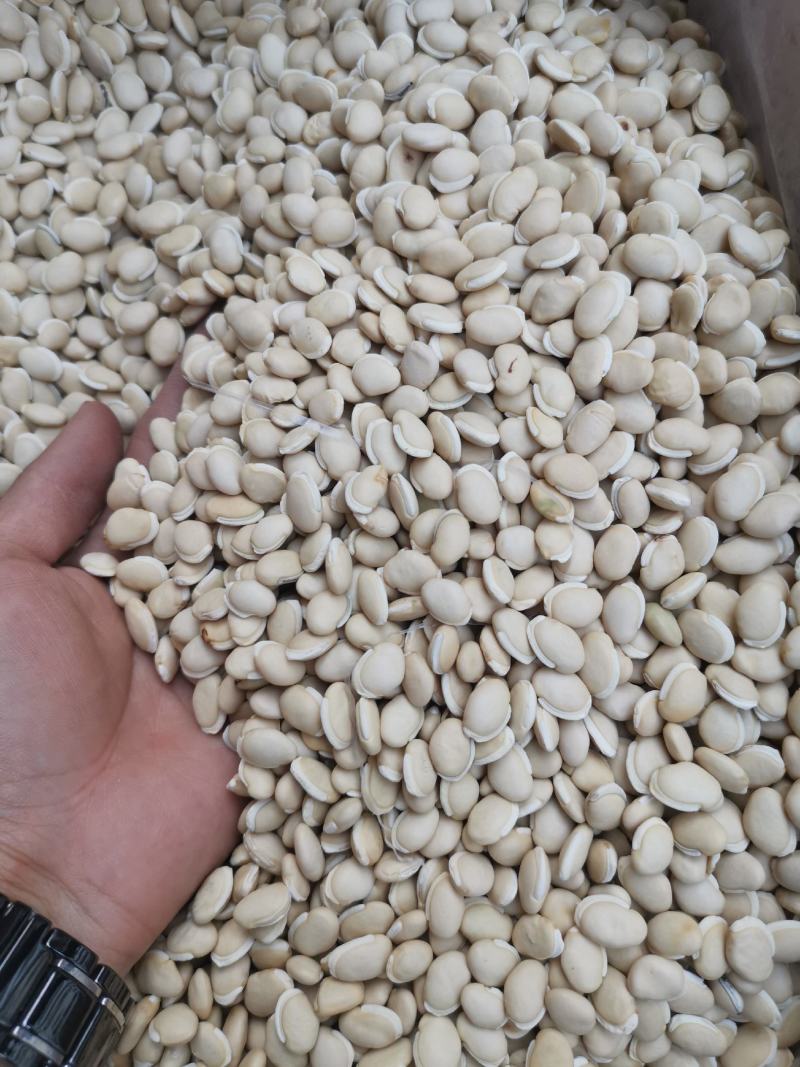 白扁豆《精选新货》袪湿豆（饱满圆润）产地直发