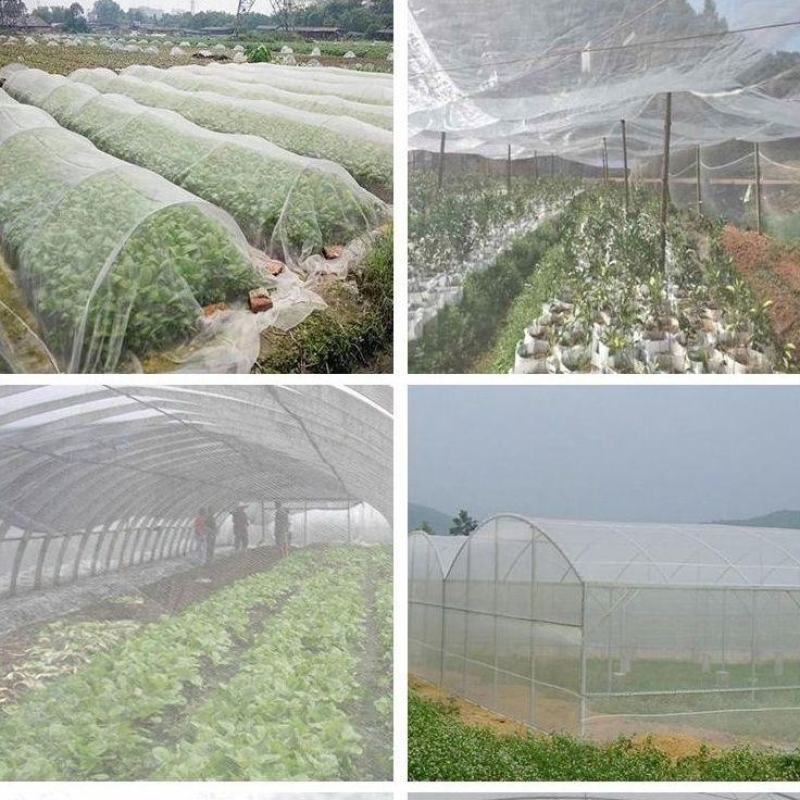 养殖用具防虫网白色供应家禽鸡鸭养殖网渔网网箱等等