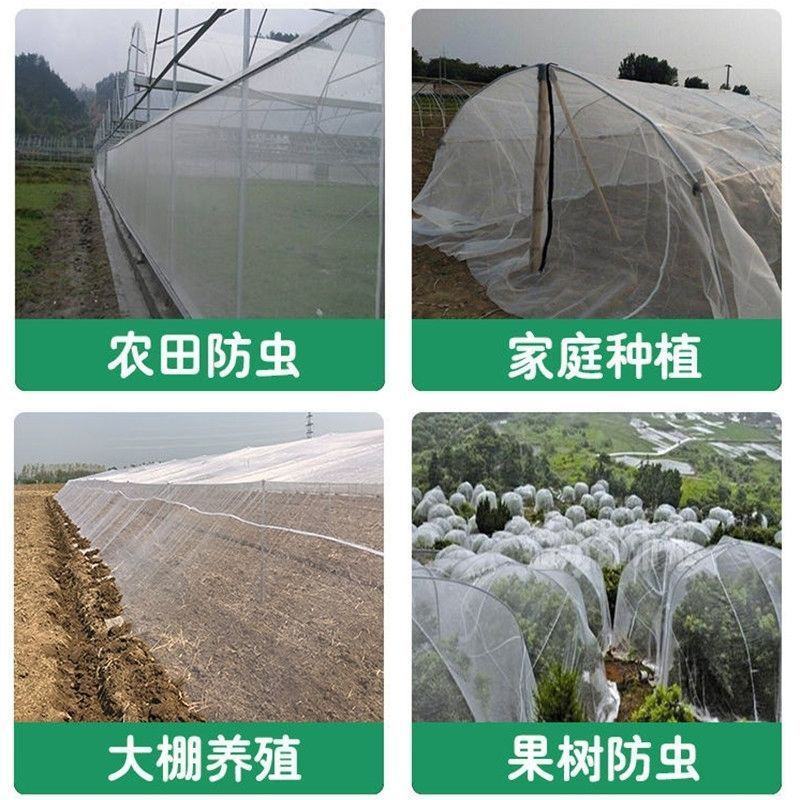 养殖用具防虫网白色供应家禽鸡鸭养殖网渔网网箱等等
